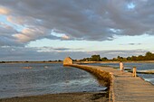 France,Morbihan,Arz Island,canoe kayak trip in the Gulf of Morbihan at sunset,the tide mill of Berno