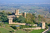 France,Rhone,Beaujolais region,the wine producing castle of Montmelas Saint Sorlin (aerial view)