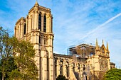 France,Paris,area listed as World Heritage by UNESCO,Ile de la Cite,Notre Dame Cathedral after the fire of April 15,2019