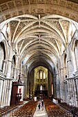 Frankreich,Gironde,Bordeaux,von der UNESCO zum Weltkulturerbe erklärtes Gebiet,Rathausviertel,Platz Pey Berland,Kathedrale Saint Andre