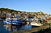 France,Seine Maritime,Le Treport,the fishing harbour and Saint Jacques church