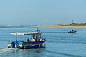France,Morbihan,Ria d'Etel,the ferryman between Etel and the Magouer