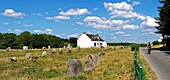 Frankreich,Morbihan,Carnac,megalithische Stätte von Menec