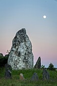 France,Ille et Vilaine,Saint-Just,protected natural area the moors of Cojoux and its megalithic alignments at dusk