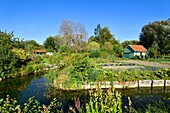 Frankreich,Somme,Amiens,die Hortillonnages sind alte Sümpfe, die aufgefüllt wurden, um ein Mosaik von schwimmenden Gärten zu schaffen, die von Kanälen umgeben sind