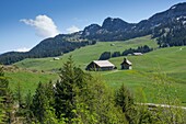 Frankreich,Haute Savoie,massif des Aravis,plateau des Glieres,randonnée vers la tête Ronde,passage vers notre dame des Neiges