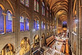 France,Paris,zone listed as World Heritage by UNESCO,city island,the nave of the Notre-Dame cathedral