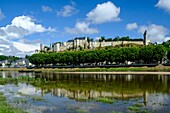 France,Indre et Loire,Loire Valley listed as World Heritage by UNESCO,Castle of Chinon along the Vienne river