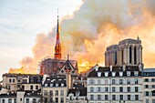 Frankreich,Paris,Welterbe der UNESCO,Ile de la Cite,Kathedrale Notre Dame de Paris,Brand, der die Kathedrale am 15. April 2019 verwüstet hat