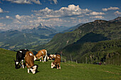 Panoramic mountain view from the Kitzb