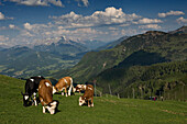 Panoramablick auf die Berge von der Kitzb