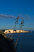White sea cliffs near Bonifacio. Corse du Sud. Corsica. France.