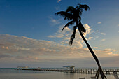 USA,Florida,Florida Keys,Sunrise over pier and boat dock,Islamorada