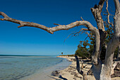 USA,Florida,Florida Keys,Menschen spazieren am Sandstrand,Key West