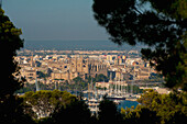 Spain,Majorca,View across Parc de Bellver to port and cathedral,Palma