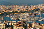 Spanien,Mallorca,Blick vom Castell de Bellver auf den Hafen und die Kathedrale,Palma