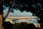 Spain,Majorca,Looking through trees of Parc de Bellver,Palma