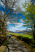 UK,Scotland,Group of walkers down small country lane to Loch Creran,Argyll and Bute
