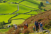 England,Cumbria,Lake District National Park,Eltern führen Kinder den Pfad hinauf,Little Langdale