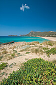 Griechenland,Kreta,Sanddünen und Strand,Falassarna