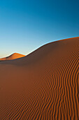 Marokko,Sanddüne in der Morgendämmerung in der Nähe von Merzouga in der Wüste Sahara, Erg Chebbi-Gebiet