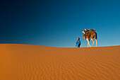 Morocco,Berber leading camel across sand dune near Merzouga in Sahara Desert,Erg Chebbi area