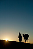 Marokko,Silhouette von Berber 'Blauer Mann' führt Kamel über Sanddünen in der Abenddämmerung im Erg Chebbi Gebiet, Sahara Wüste bei Merzouga