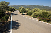 Spain,Road Vanishing Into Local Landscape,Andalucia