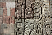 In der Nähe von Mexiko-Stadt, Mexiko, Teotihuacan Archäologische Stätte, Steinschnitzerei eines Vogels an der Wand des Quetzalpapalotl-Palastes