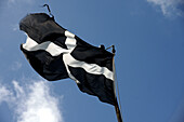 Cornish Flag Flying,North Cornwall,England,Uk.