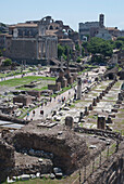 Italy,Roman Forum (Forum Magnum),Rome