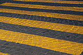 Italy,Zebra Crossing,Rome