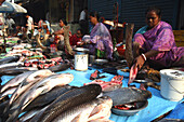 Fischmarkt neben dem geschlossenen New Market in der Nähe der Sudder Street, einem beliebten Viertel für preiswerte Unterkünfte für Rucksacktouristen in Kalkutta/Kolkata, der Hauptstadt des Bundesstaates Westbengalen, Indien, Asien.