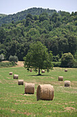 Geerntete Weizenfelder auf dem Lande in der Nähe von Siena in der Toskana. Italien. Juni.