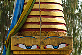 India,West Sikkim,Buddha eyes on stupa belonging to Choki Lodro at Tashiding Monastery,Tashiding Monastery