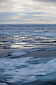 Dänemark,Eis an der Westküste,Grönland
