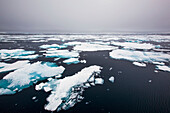 Denmark,Ice on west coast,Greenland