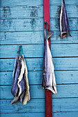 Greenland,Cod drying on outside of house,Nuuk