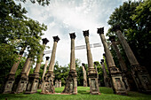 USA,Columns in Windsor Ruins,Mississippi