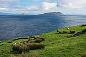 UK,Ireland,County Kerry,Iveragh Peninsula,View across Ballinskelligs bay to Scariff and Deenish Islands