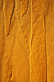 Niger,Sahara Desert,Northern Niger,Patterns and animal tracks on sand
