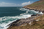 Wellen brechen gegen Bolus Head, Ballinskelligs, Ring of Skelligs, Grafschaft Kerry, Irland, UK
