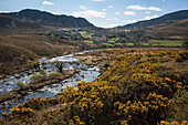 UK,Irland,County Kerry,Iveragh Peninsula,Fluss Behy mit MacGillycuddy's Reeks im Hintergrund