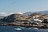 Cromwell Point Lighthouse,Valentia Island,Iveragh Peninsula,County Kerry,Ireland,UK