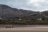 Horseback riding on Derrynane Beach,Dingle,County Kerry,Ireland,UK