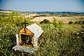 Greece,Halkidiki,Shrine amidst wildflowers,Ouranoupoli