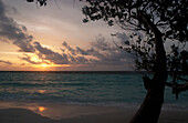 Malediven,Süd-Ari-Atoll,Strand bei Sonnenuntergang,Ranveli Island