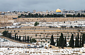 Israel,Ölberg,Jerusalem,2013,Schnee in Jerusalem am 10. Januar