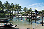 Myanmar,Man on motorcycle on wooden jetty over harbour with coconut trees in background,Irrawaddyi division