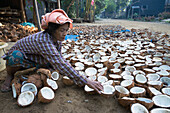 Myanmar (Burma),Irrawaddyi division,Woman sorting coconuts